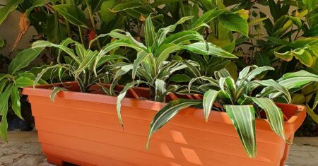 Jardineira de plantas com 40cm