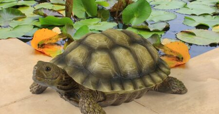 Tartaruga para decoração de jardim