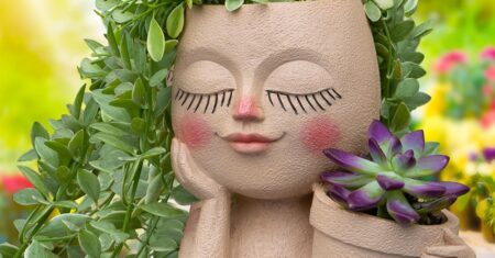 Vaso de plantas com rosto