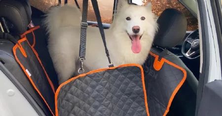 Capa protetora PET impermeável 5 em 1 para banco de carro