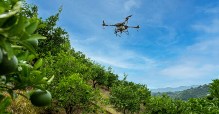Drone pulverizador ou avião agrícola: qual escolher?