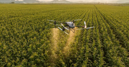 Antes de comprar um drone pulverizador, veja as regras