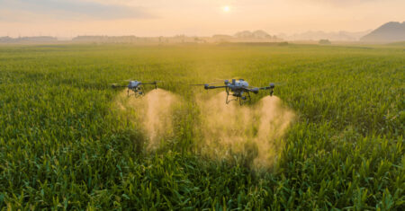 Quantos hectares faz um drone pulverizador?
